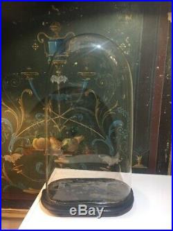 Ancien Globe en verre de mariée / mariage, Pendule Horloge Cabinet de Curiosité