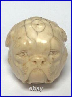 Ancien Pommeau De Canne Sculpte Tete De Bouledogue Travail Dieppois