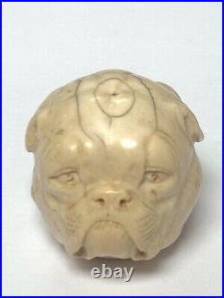 Ancien Pommeau De Canne Sculpte Tete De Bouledogue Travail Dieppois