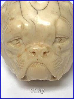 Ancien Pommeau De Canne Sculpte Tete De Bouledogue Travail Dieppois