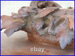 Ancienne horloge murale foret noire BRIENZ bois sculpté black forest nest bird