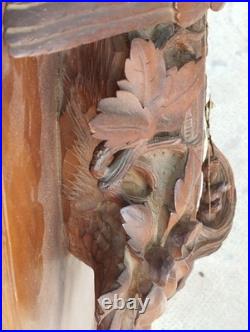 Ancienne horloge murale foret noire BRIENZ bois sculpté black forest nest bird