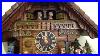 Cuckoo-Clock-With-Water-Wheel-With-Real-Flowing-Water-01-zem